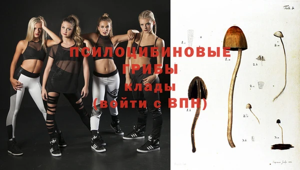 бутират Магадан