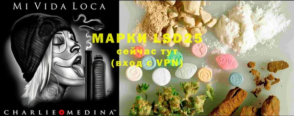 spice Магас