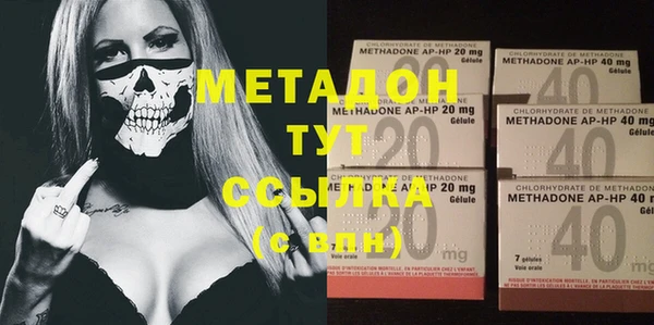 прущие грибы Снежногорск