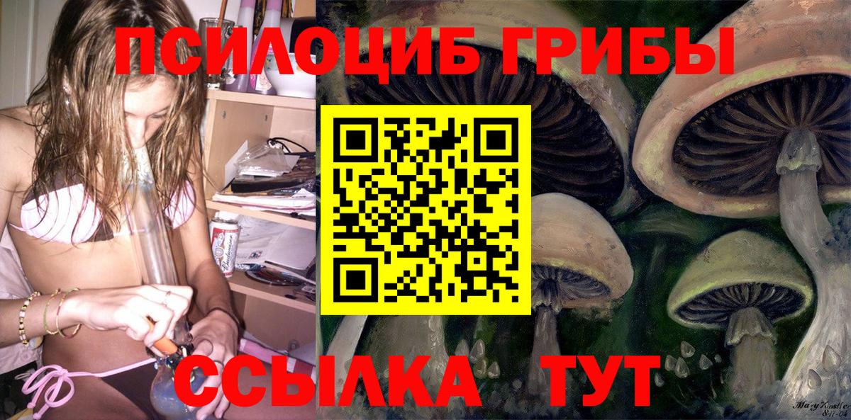 Галлюциногенные грибы Magic Shrooms Волгодонск