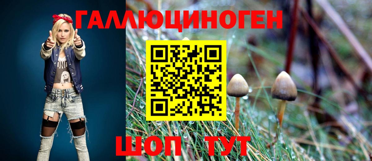 Псилоцибиновые грибы Magic Shrooms  Вход с VPN  Галлюциногенные грибы мицелий  Волгодонск 