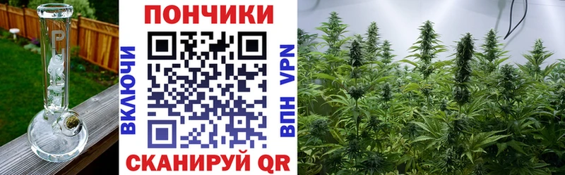 где найти   Волгодонск  кракен зеркало  Канабис OG Kush 